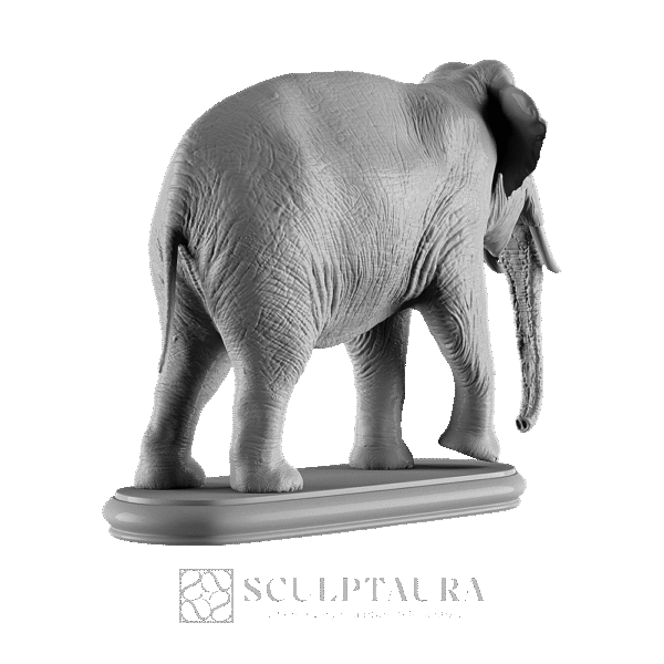 Asian Elephant - Picture 4