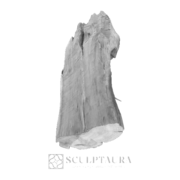 Asian Elephants Carving - Picture 2