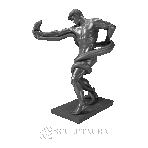 Athlete Wrestling With a Python - 938815 – TS