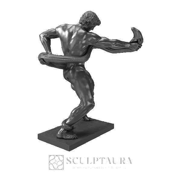 Athlete Wrestling With a Python - Picture 2