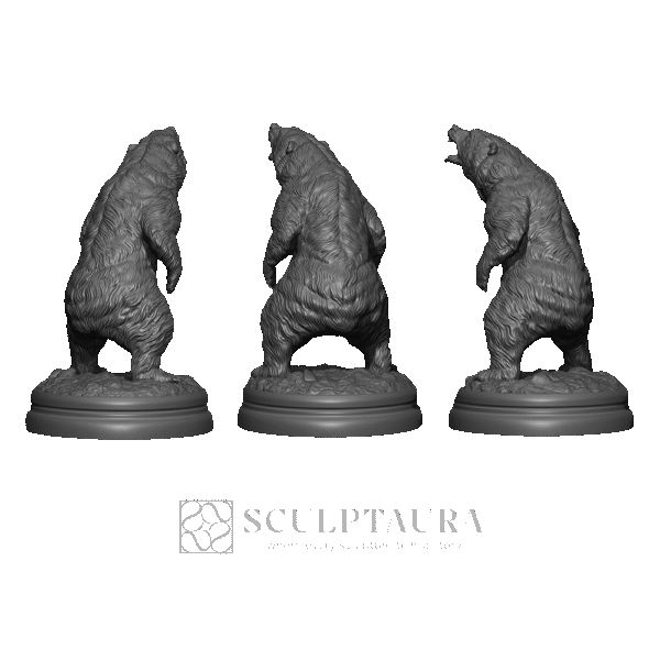 Bear in the Rack - Picture 4