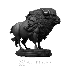 Buffalo - 2 - 39 – ST