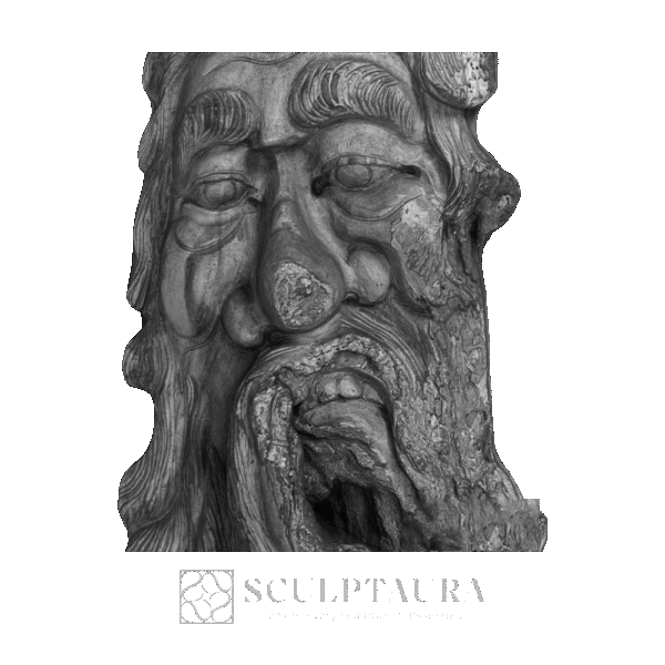 Carved Face on Tree - Picture 4