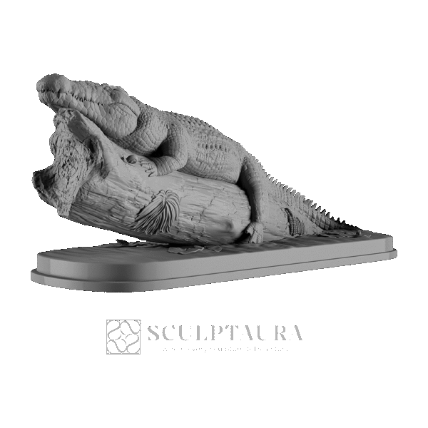 Crocodile in Tree - Picture 2