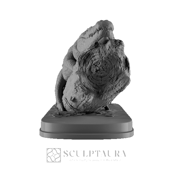 Crocodile in Tree - Picture 3