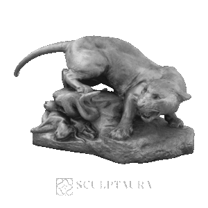 Drama In The Desert - 1806879 – TS