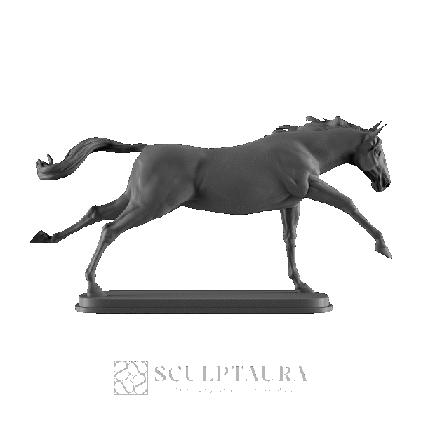 Horse Running - Picture 2