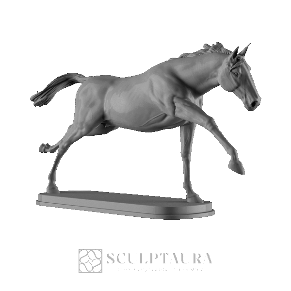 Horse Running - Picture 3