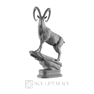 Ibex - 2000504 – TS