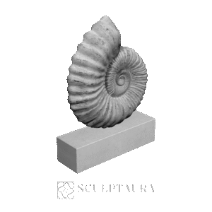Large Ammonite Mounted on a Limestone Base - 1379569 – TS