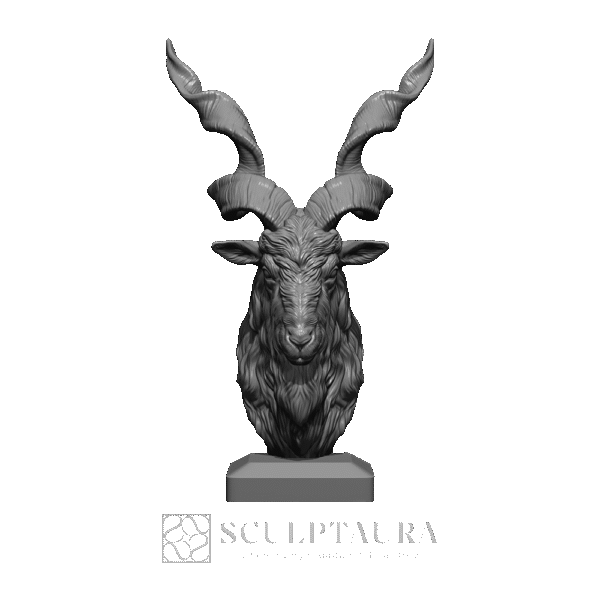 Markhor Head - Picture 2