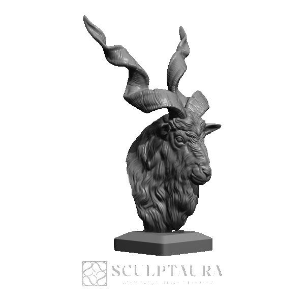Markhor Head - Picture 3