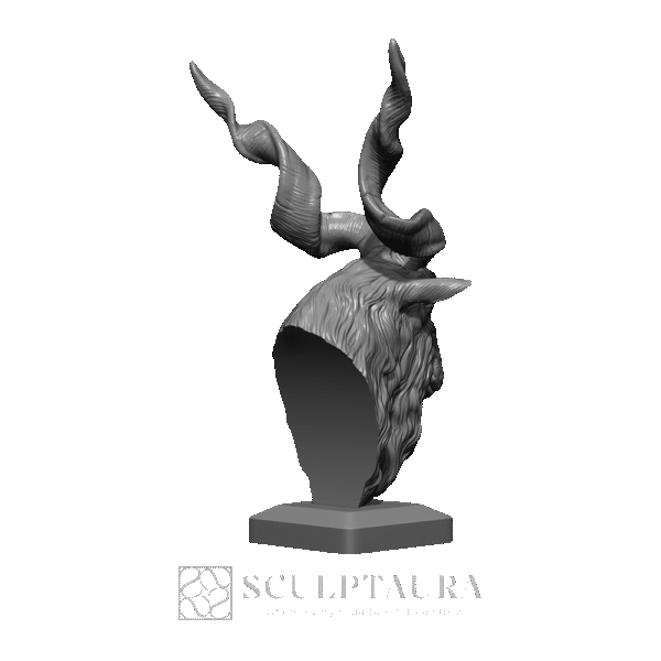 Markhor Head - Picture 5
