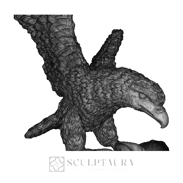 Mountain hawk - Picture 4