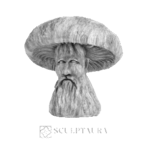 Mushroom Old Man - 1480857 – TS