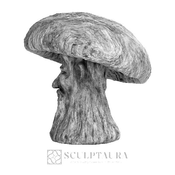 Mushroom Old Man - Picture 2