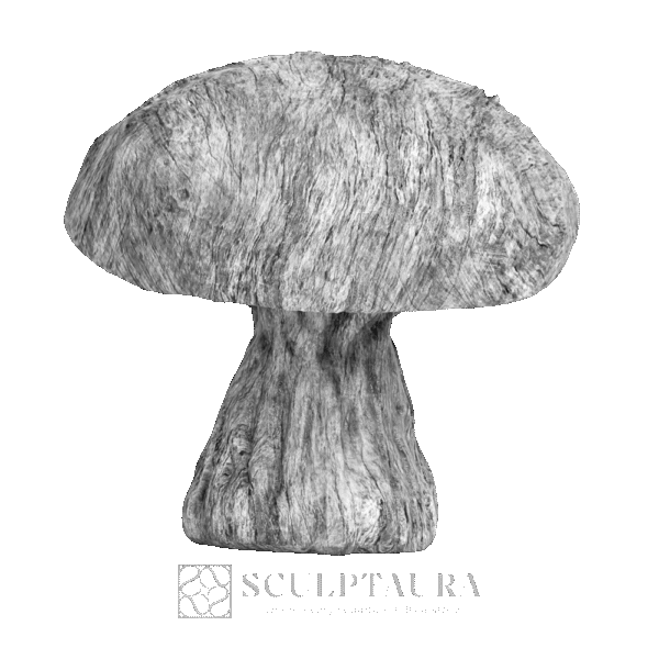 Mushroom Old Man - Picture 3