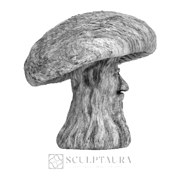 Mushroom Old Man - Picture 4