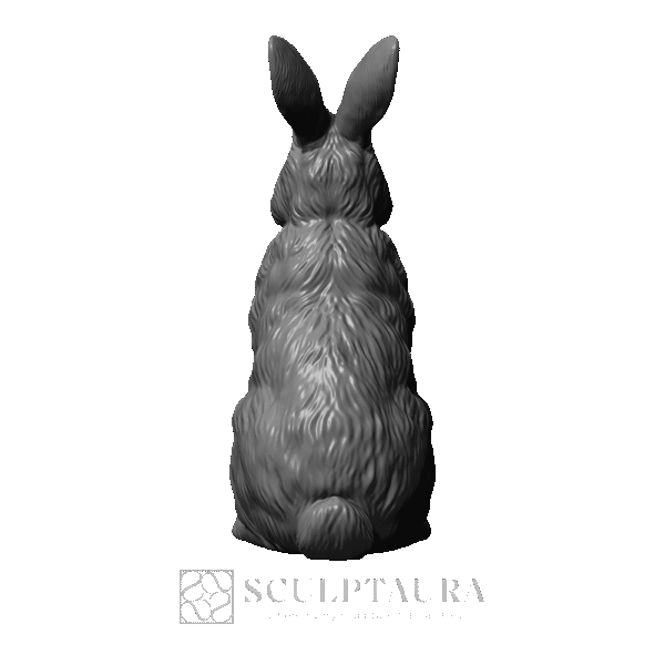 Rabbit Bunny - Picture 4