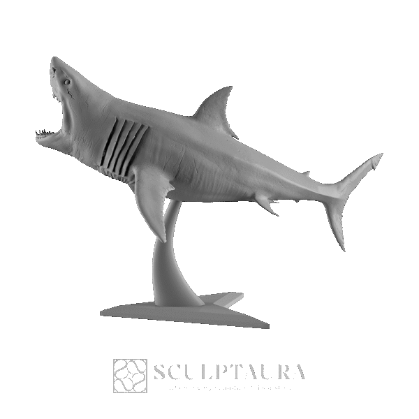 White Shark Statue - Picture 3