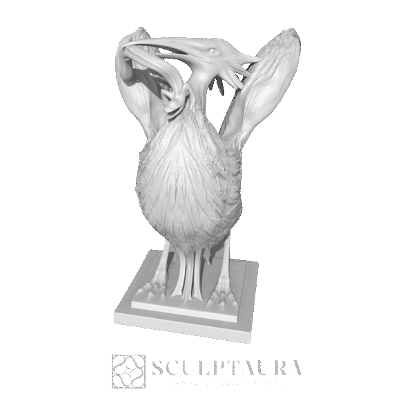 ibis sculpture picture 4